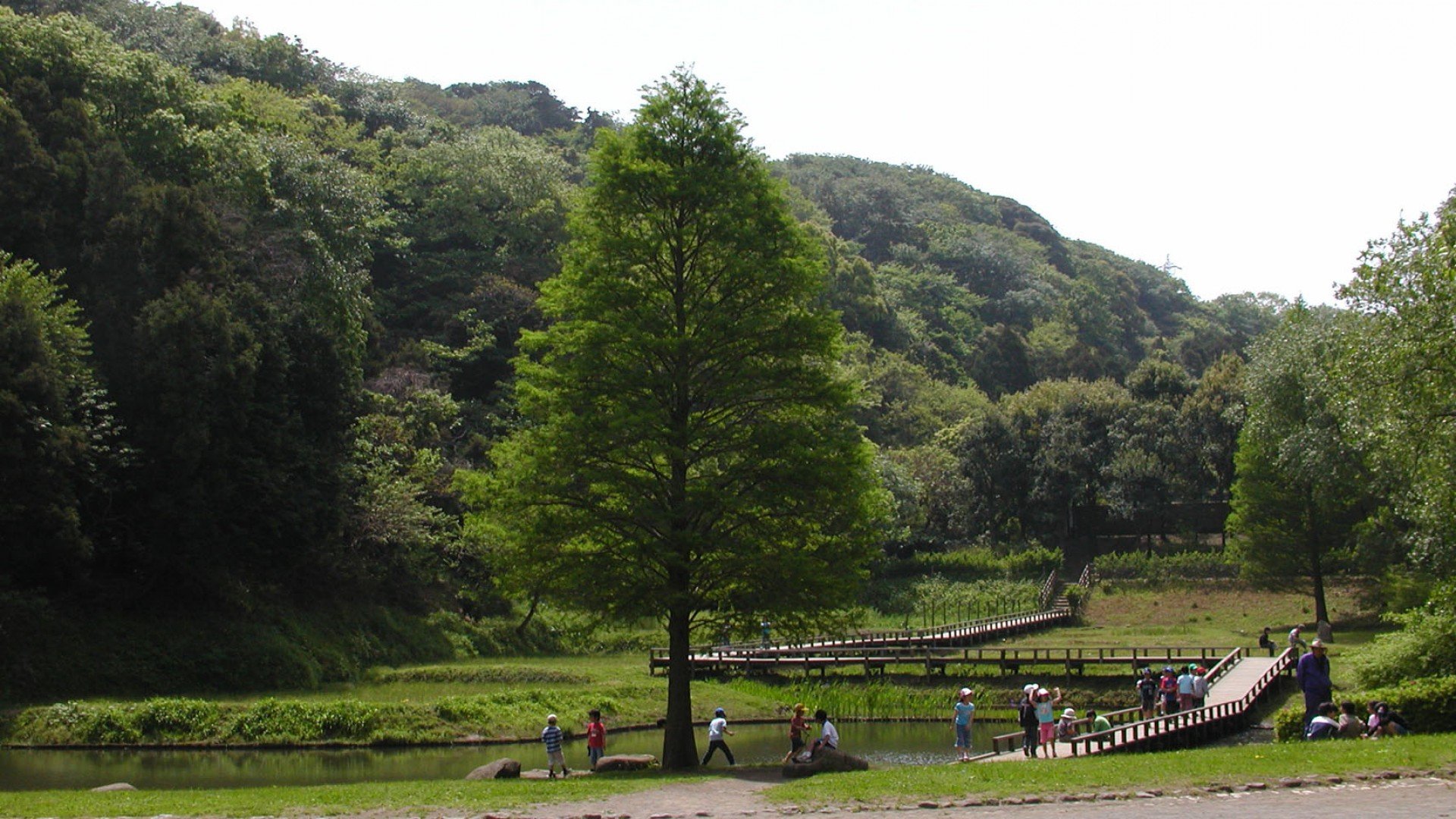 🌳 신린 공원(신바야시 코엔) 이미지 3